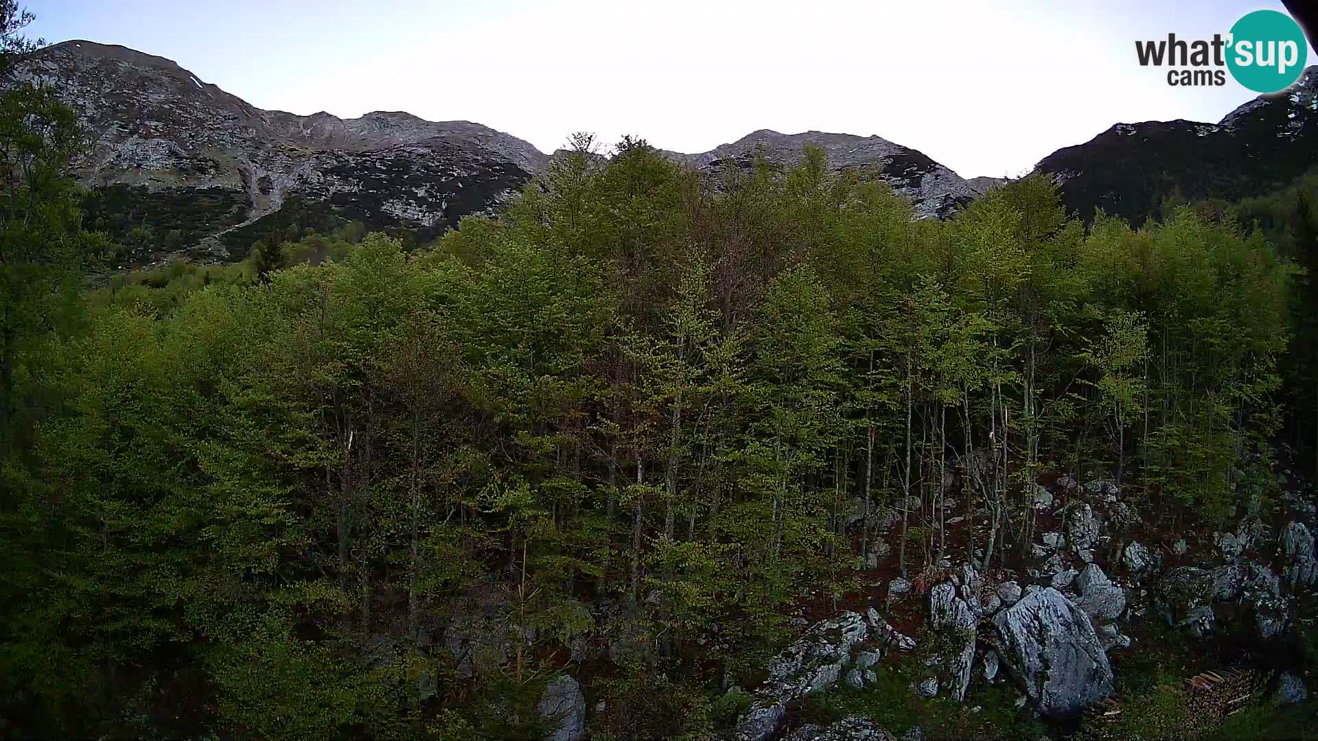 PLANINA RAZOR webcam (1315) | view to Vogel and Globoko