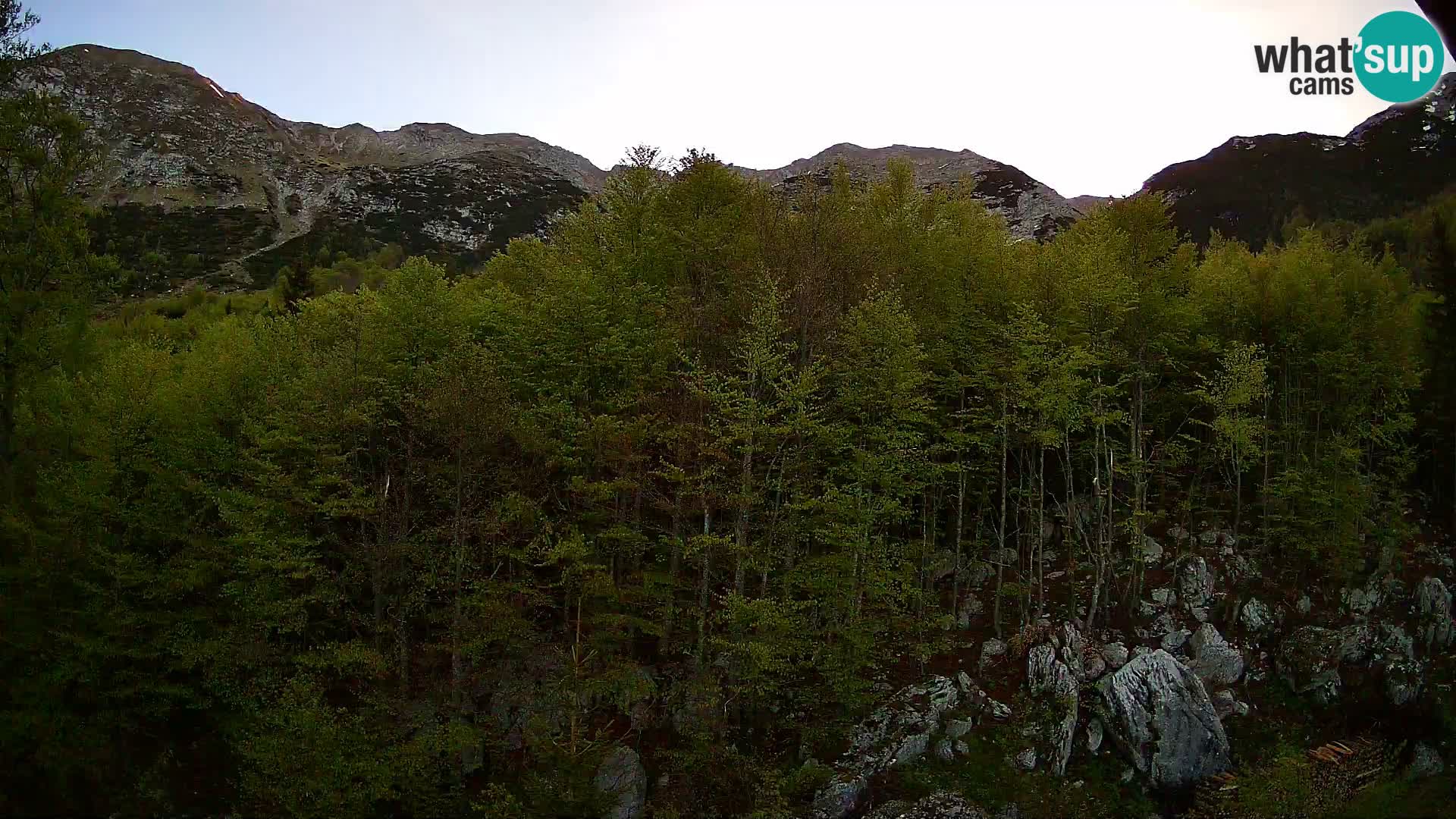 PLANINA RAZOR webcam (1315) | view to Vogel and Globoko