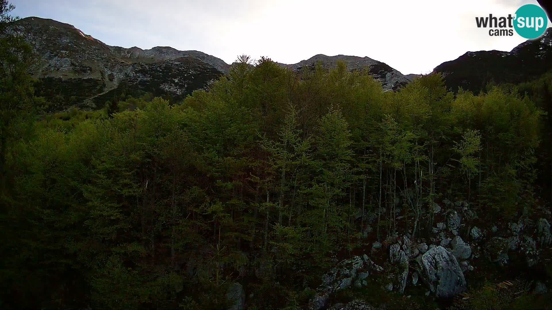 PLANINA RAZOR Live Cam (1315) | vista su Vogel e Globoko