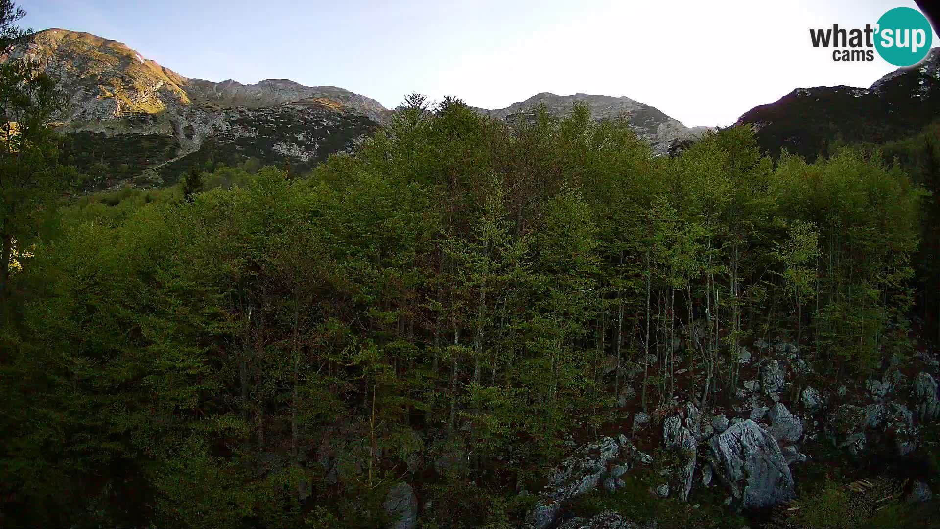 PLANINA RAZOR webcam (1315) | view to Vogel and Globoko