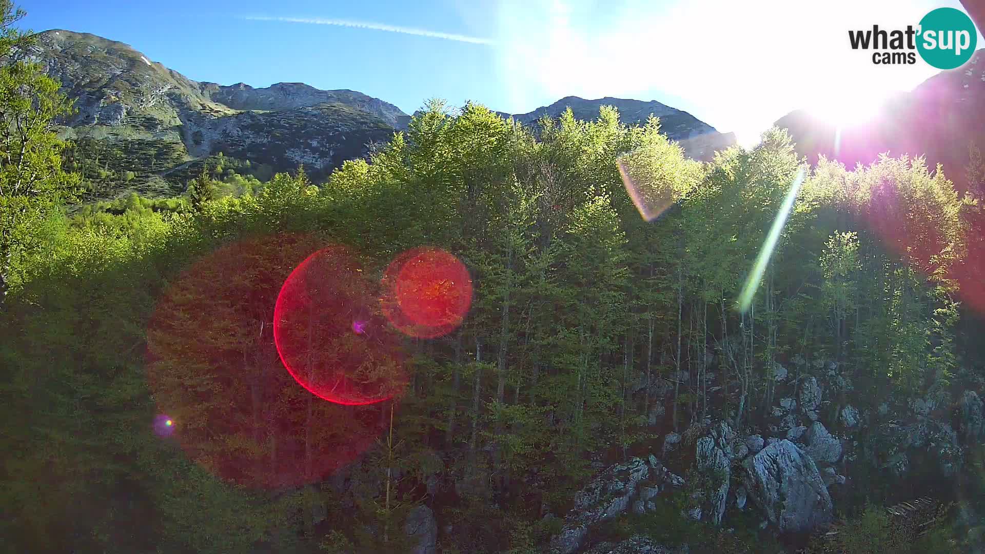 PLANINA RAZOR kamera (1315) | pogled na Vogel in Globoko