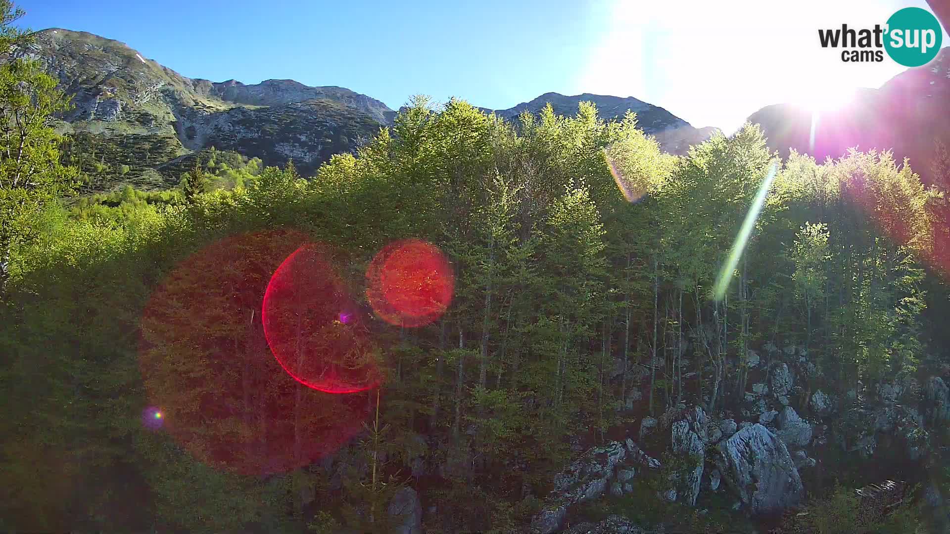Webcam PLANINA RAZOR (1315) | Blick auf Vogel und Globoko