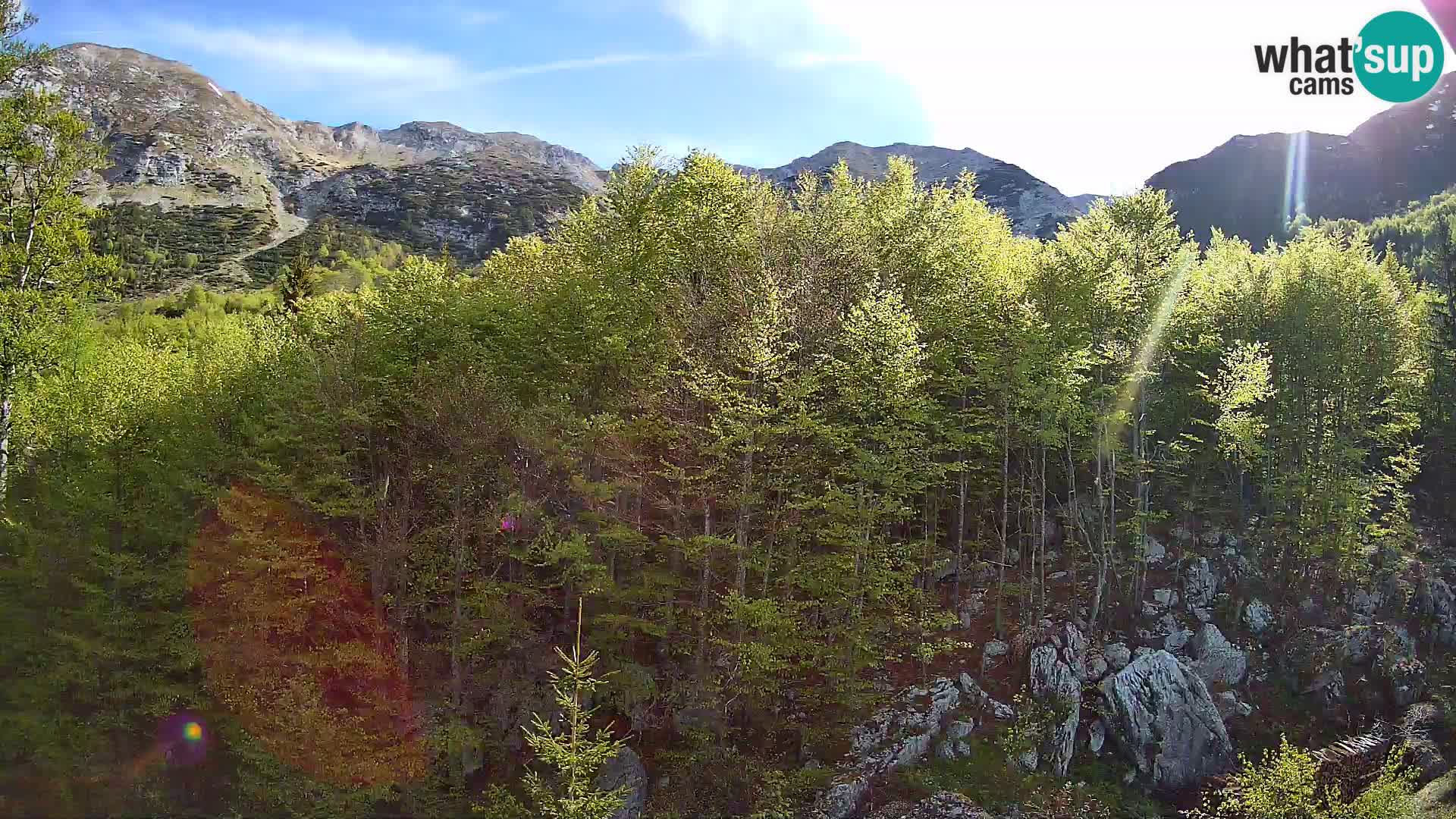 PLANINA RAZOR webcam (1315) | view to Vogel and Globoko