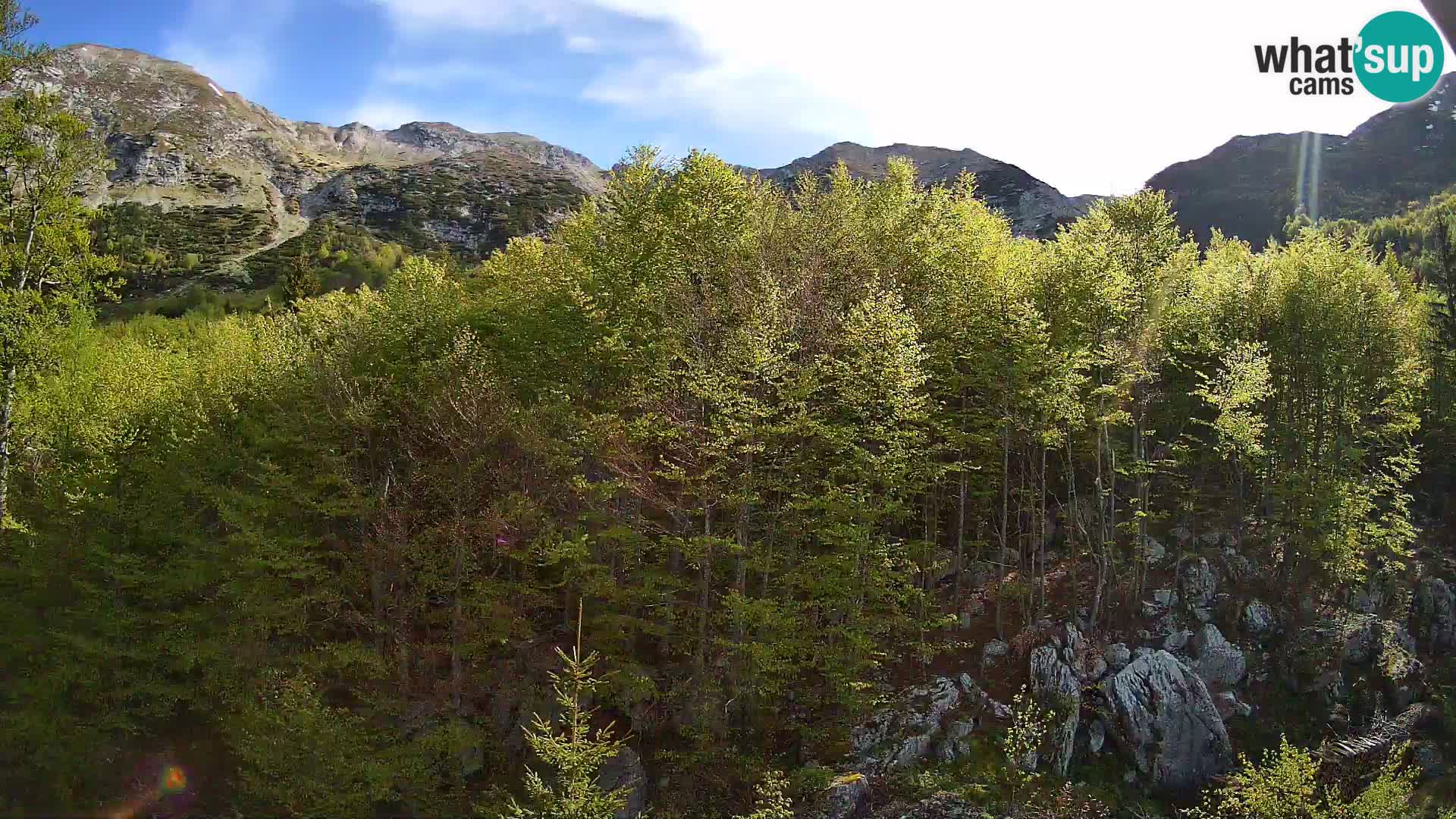 Livecam PLANINA RAZOR (1315) | vue sur Vogel et Globoko