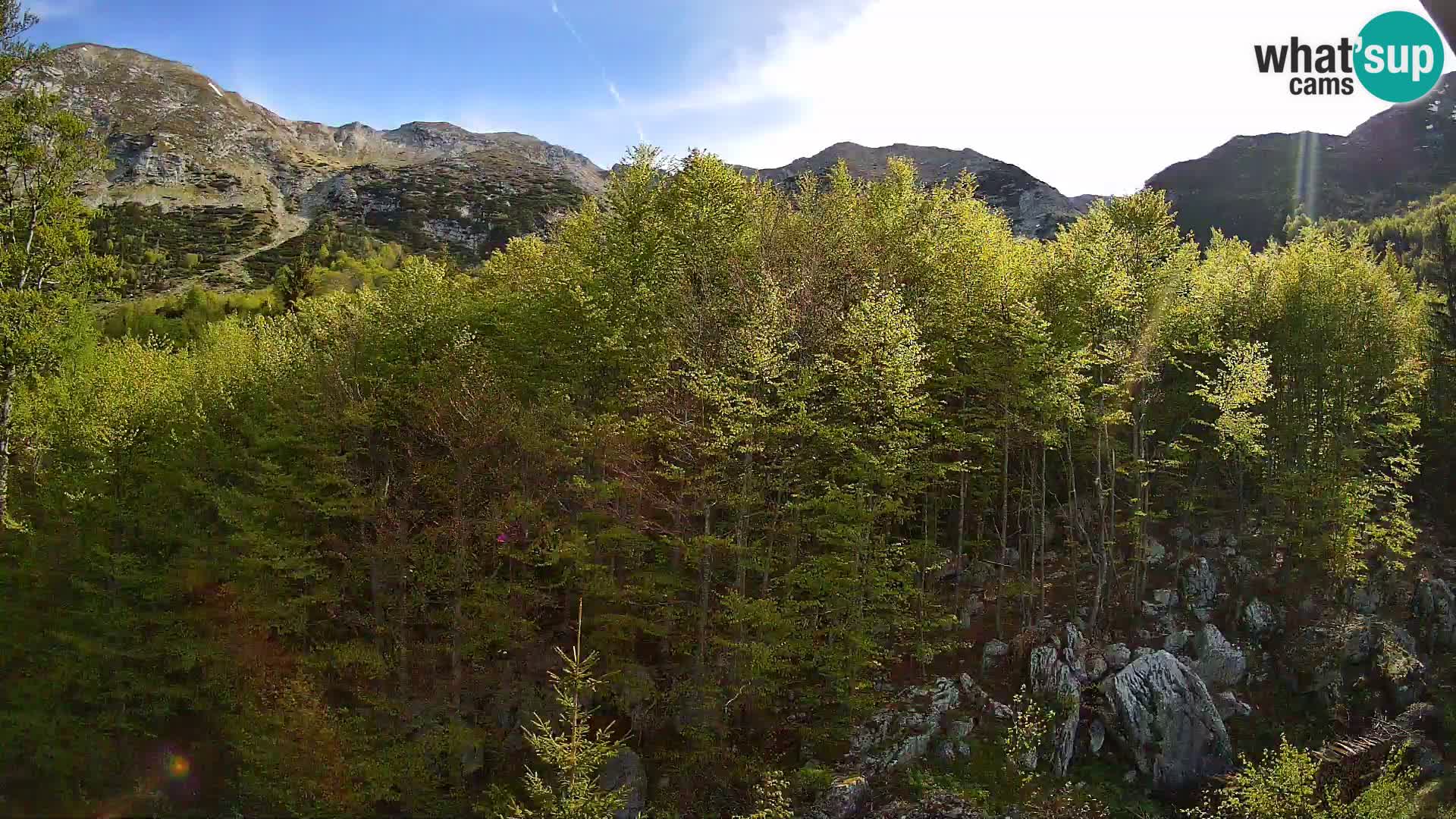 Livecam PLANINA RAZOR (1315) | vue sur Vogel et Globoko