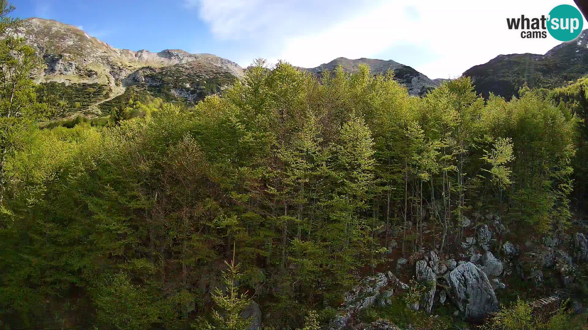 PLANINA RAZOR kamera (1315) | pogled na Vogel in Globoko