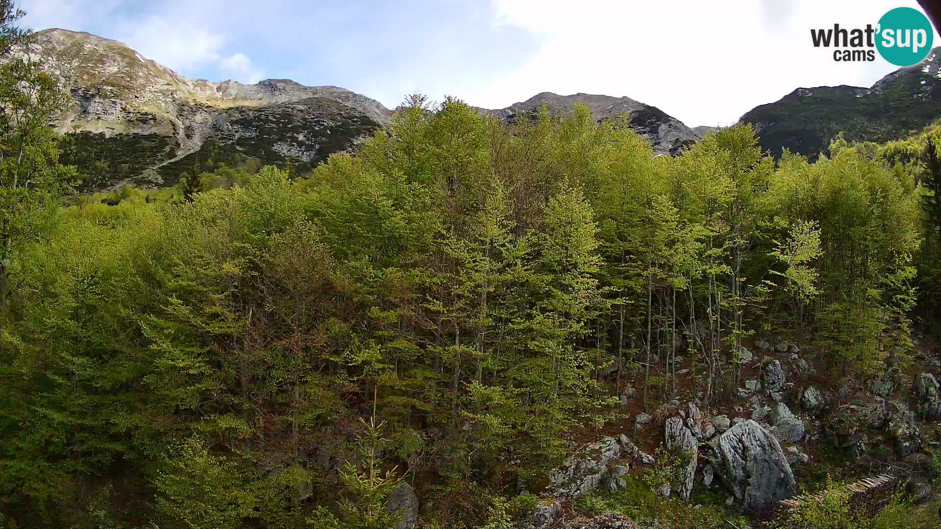 Livecam PLANINA RAZOR (1315) | vue sur Vogel et Globoko