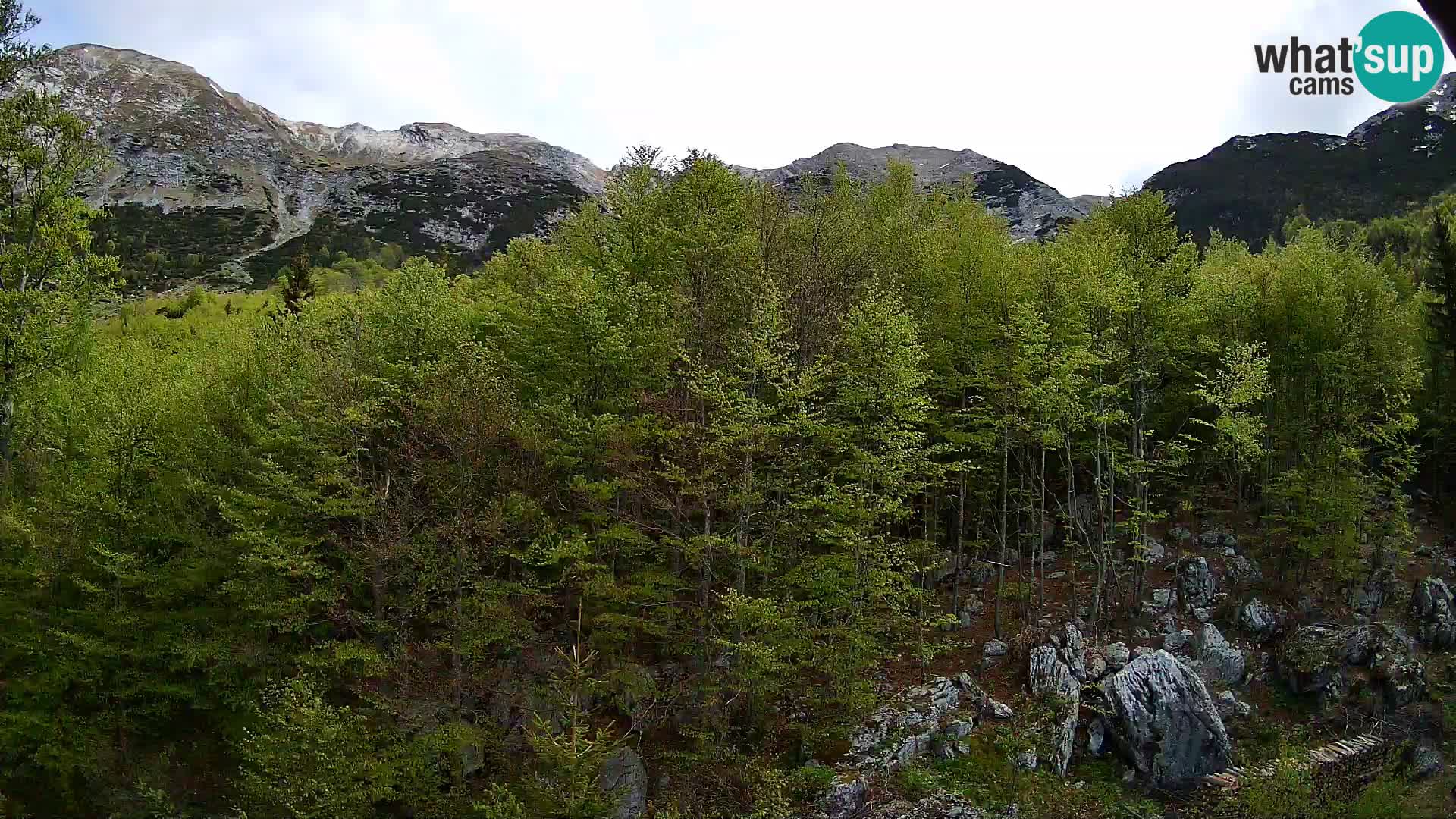 PLANINA RAZOR kamera (1315) | pogled na Vogel in Globoko