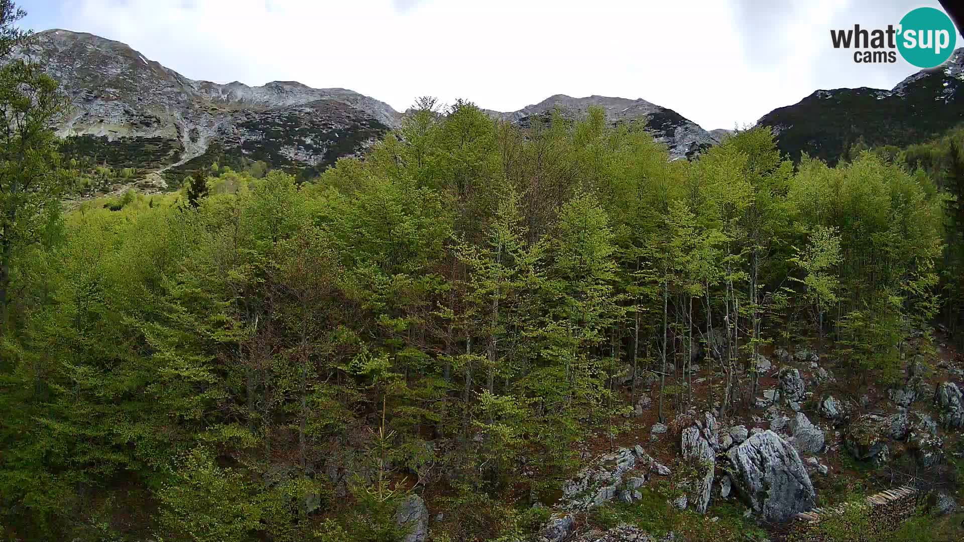 Webcam PLANINA RAZOR (1315) | Blick auf Vogel und Globoko