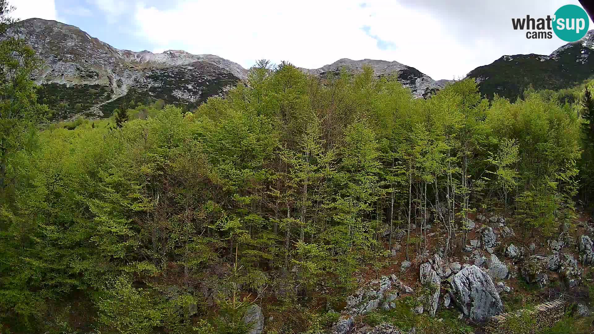Livecam PLANINA RAZOR (1315) | vue sur Vogel et Globoko