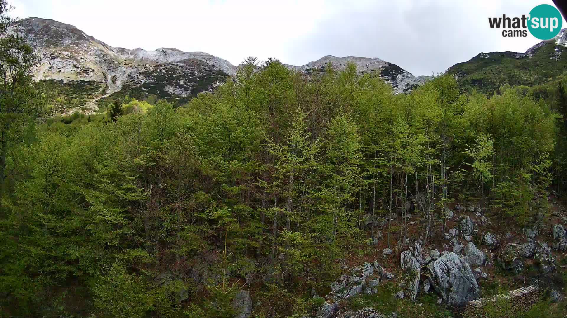 PLANINA RAZOR webcam (1315) | view to Vogel and Globoko