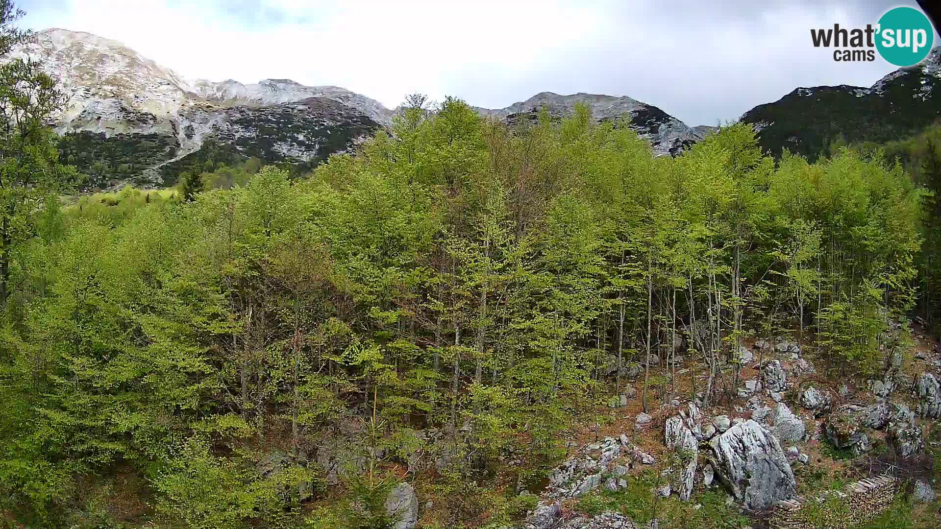 Livecam PLANINA RAZOR (1315) | vue sur Vogel et Globoko