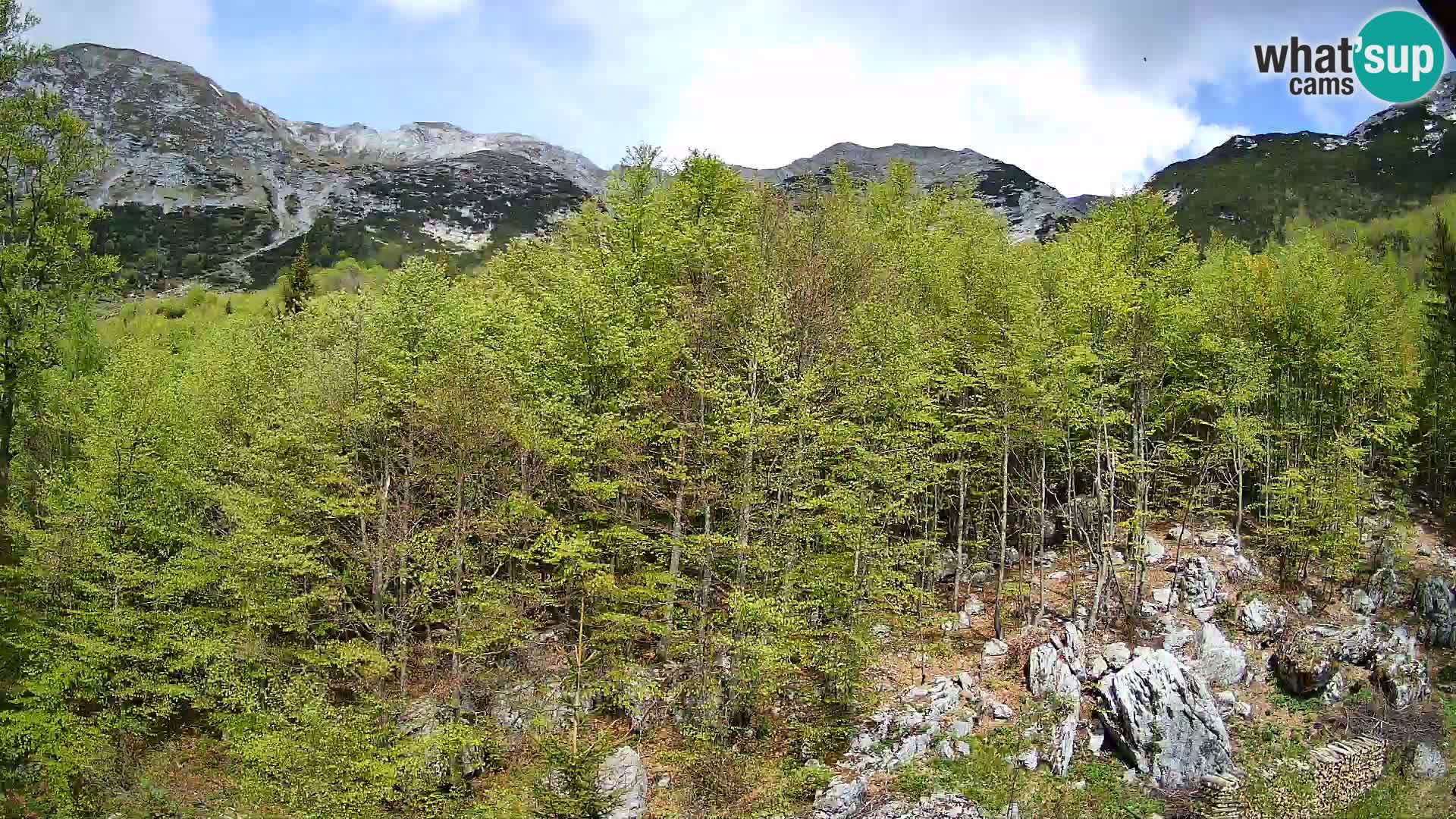 PLANINA RAZOR Live Cam (1315) | vista su Vogel e Globoko