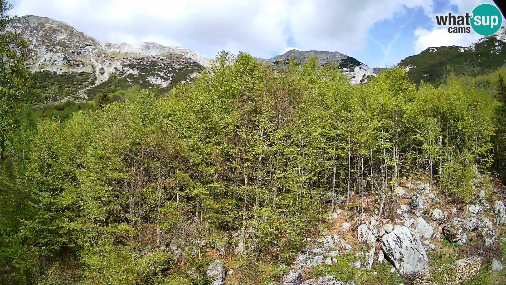 PLANINA RAZOR web kamera (1315) | pogled na Vogel i Globoko