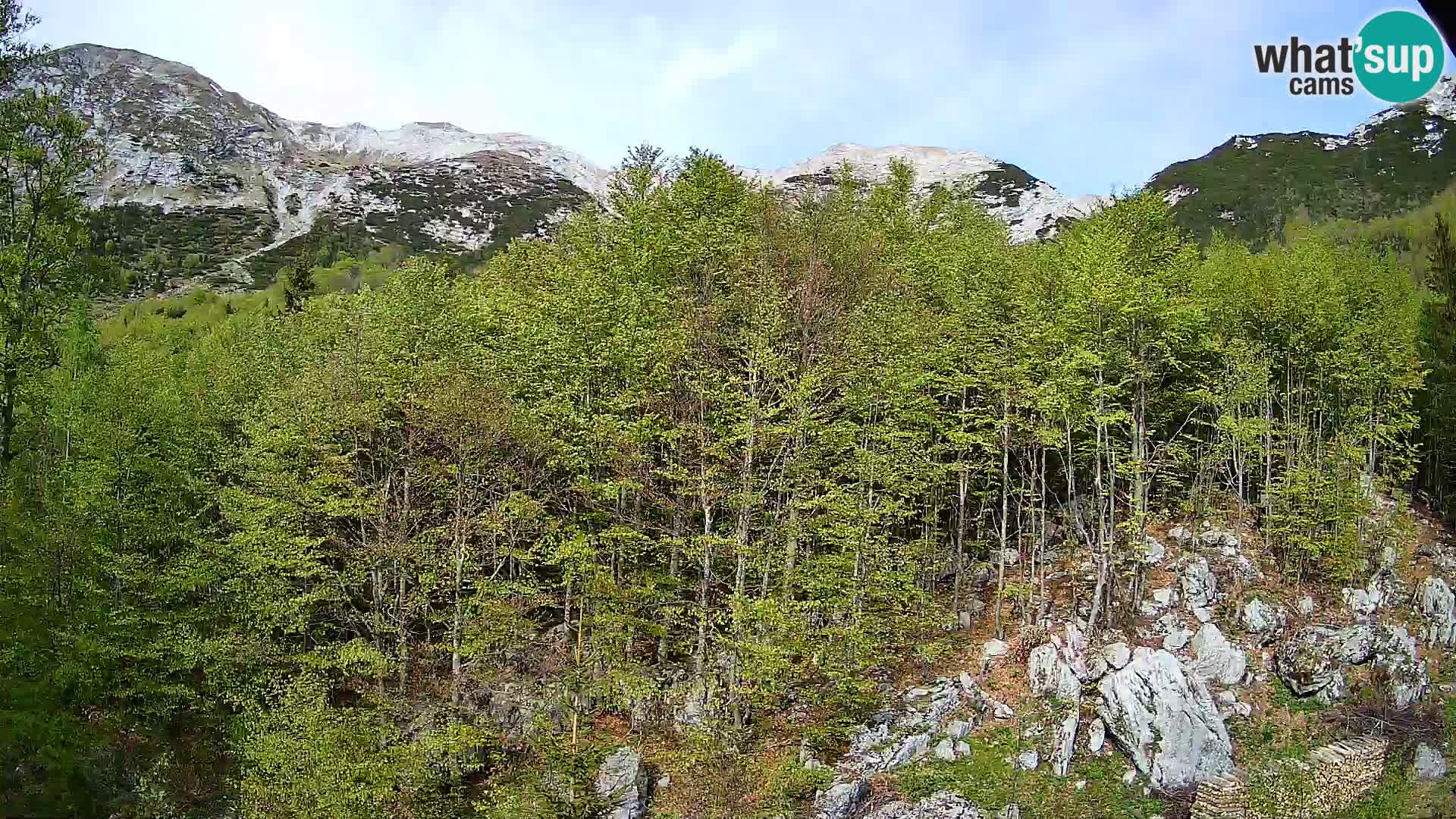 Cámara web PLANINA RAZOR (1315) | vista a Vogel y Globoko