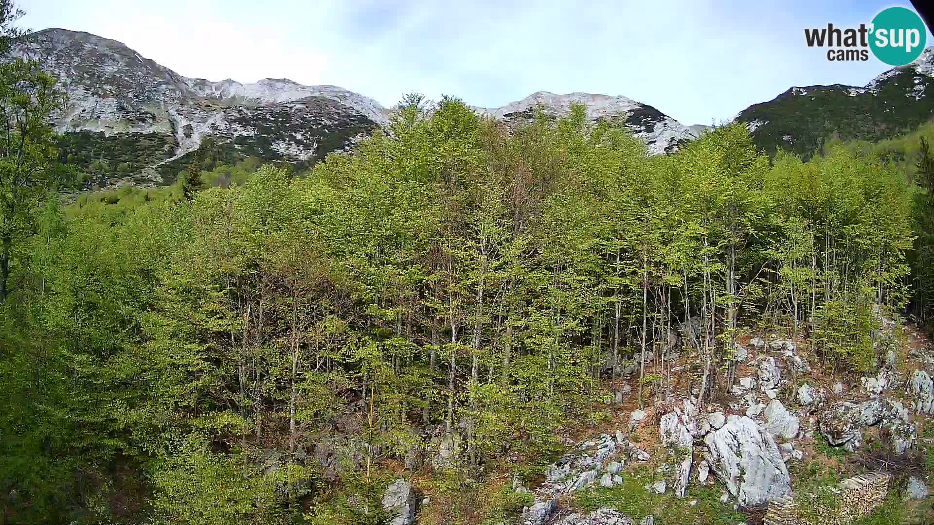 PLANINA RAZOR webcam (1315) | view to Vogel and Globoko