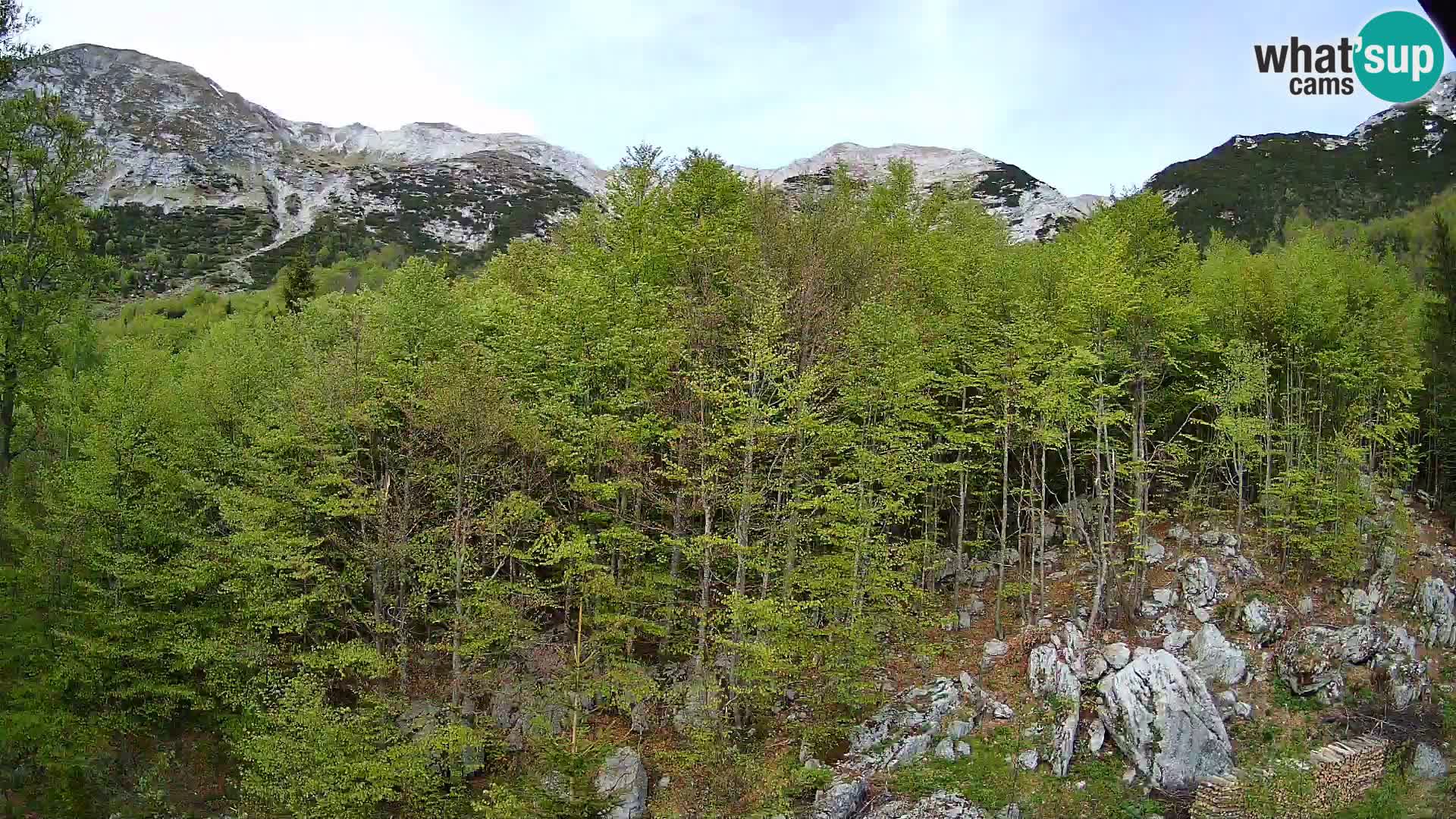 Livecam PLANINA RAZOR (1315) | vue sur Vogel et Globoko