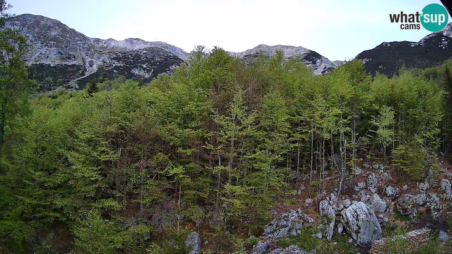 Livecam PLANINA RAZOR (1315) | vue sur Vogel et Globoko