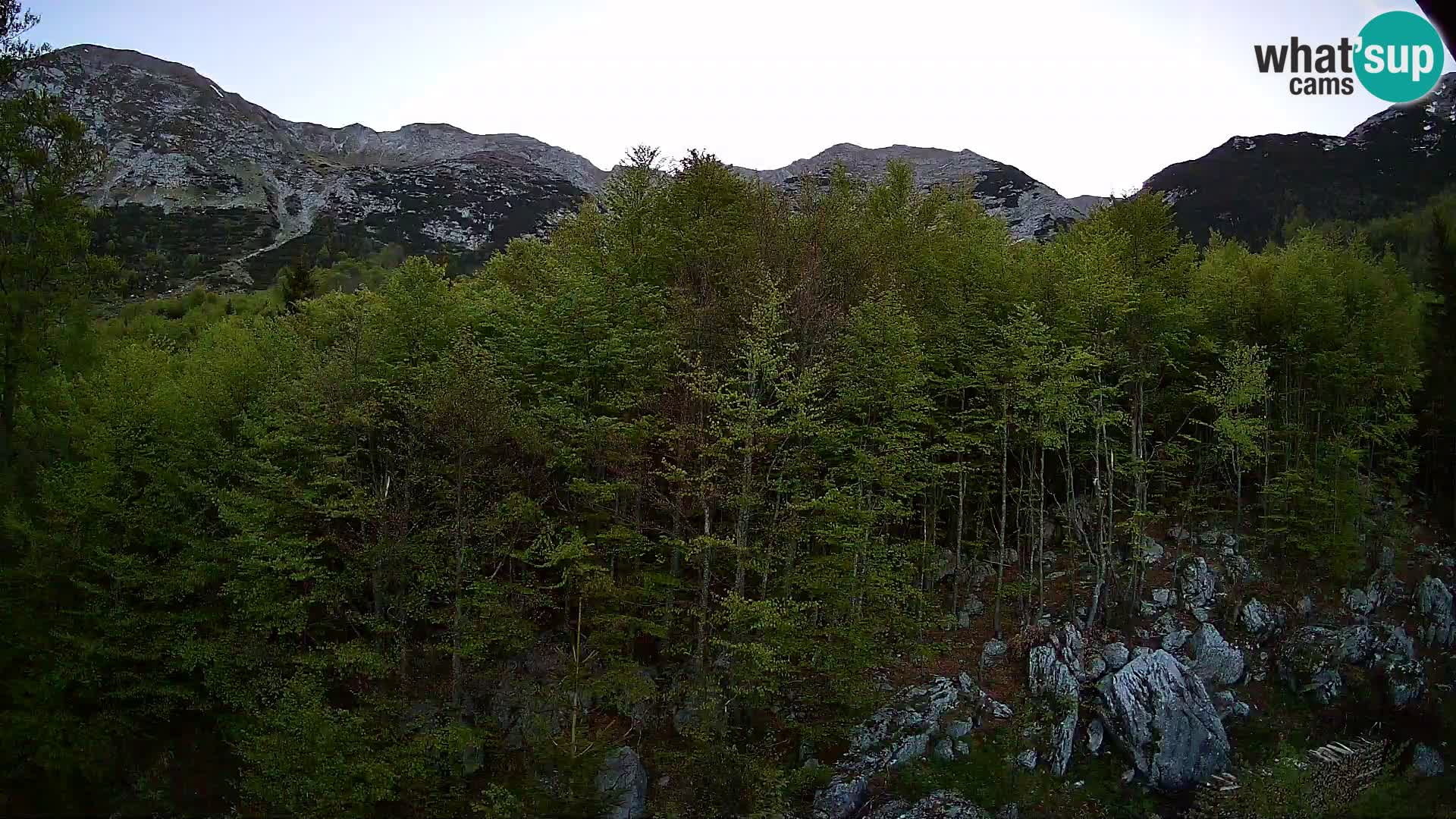 Cámara web PLANINA RAZOR (1315) | vista a Vogel y Globoko