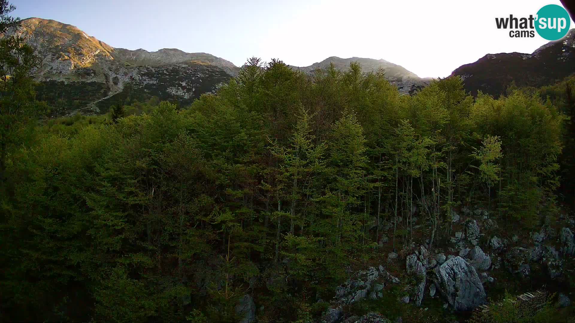 PLANINA RAZOR Live Cam (1315) | vista su Vogel e Globoko