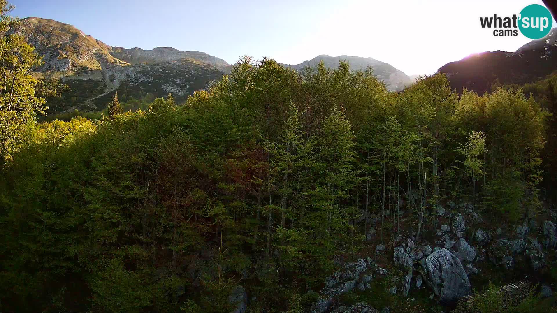 Webcam PLANINA RAZOR (1315) | Blick auf Vogel und Globoko
