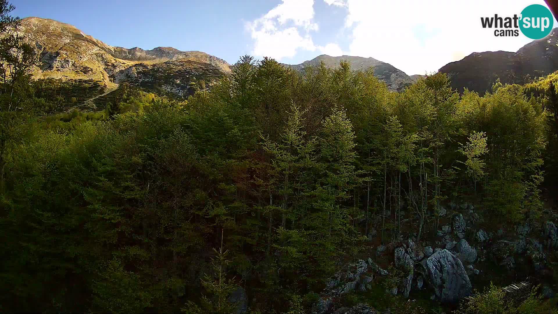 Webcam PLANINA RAZOR (1315) | Blick auf Vogel und Globoko