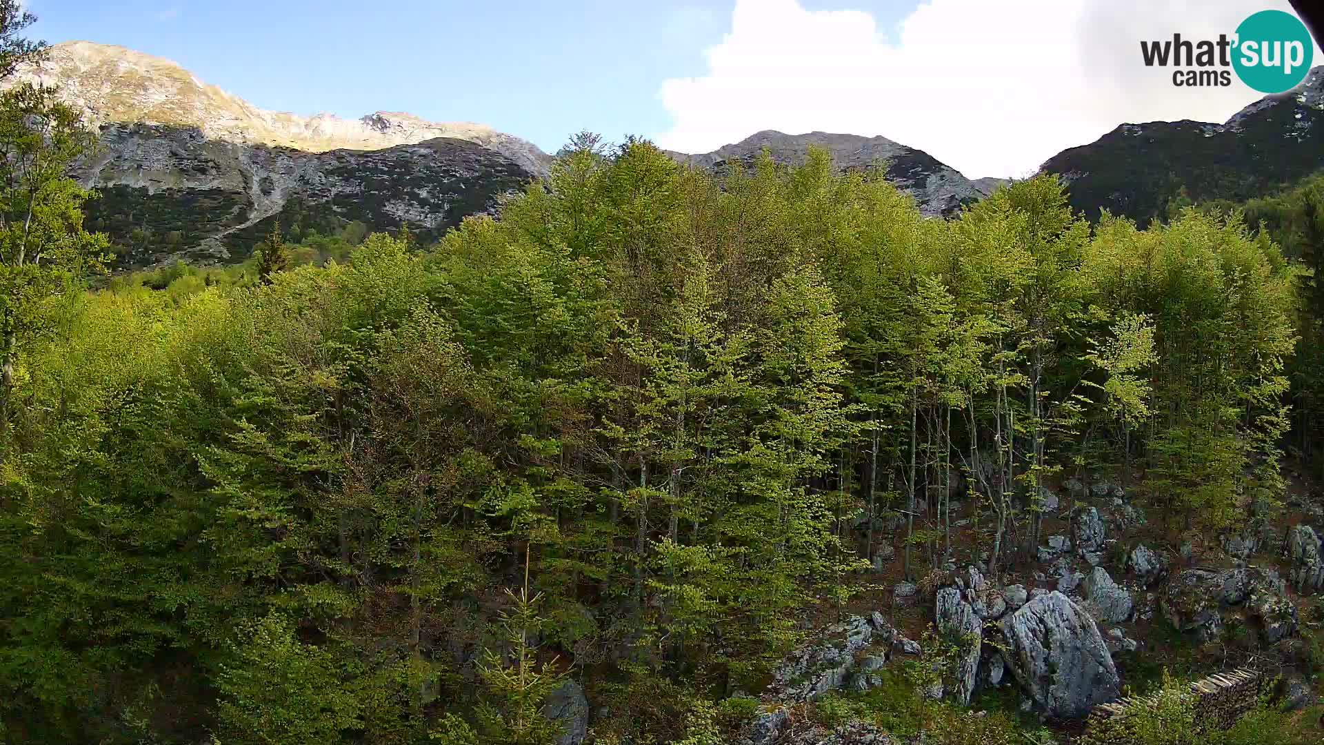 Livecam PLANINA RAZOR (1315) | vue sur Vogel et Globoko