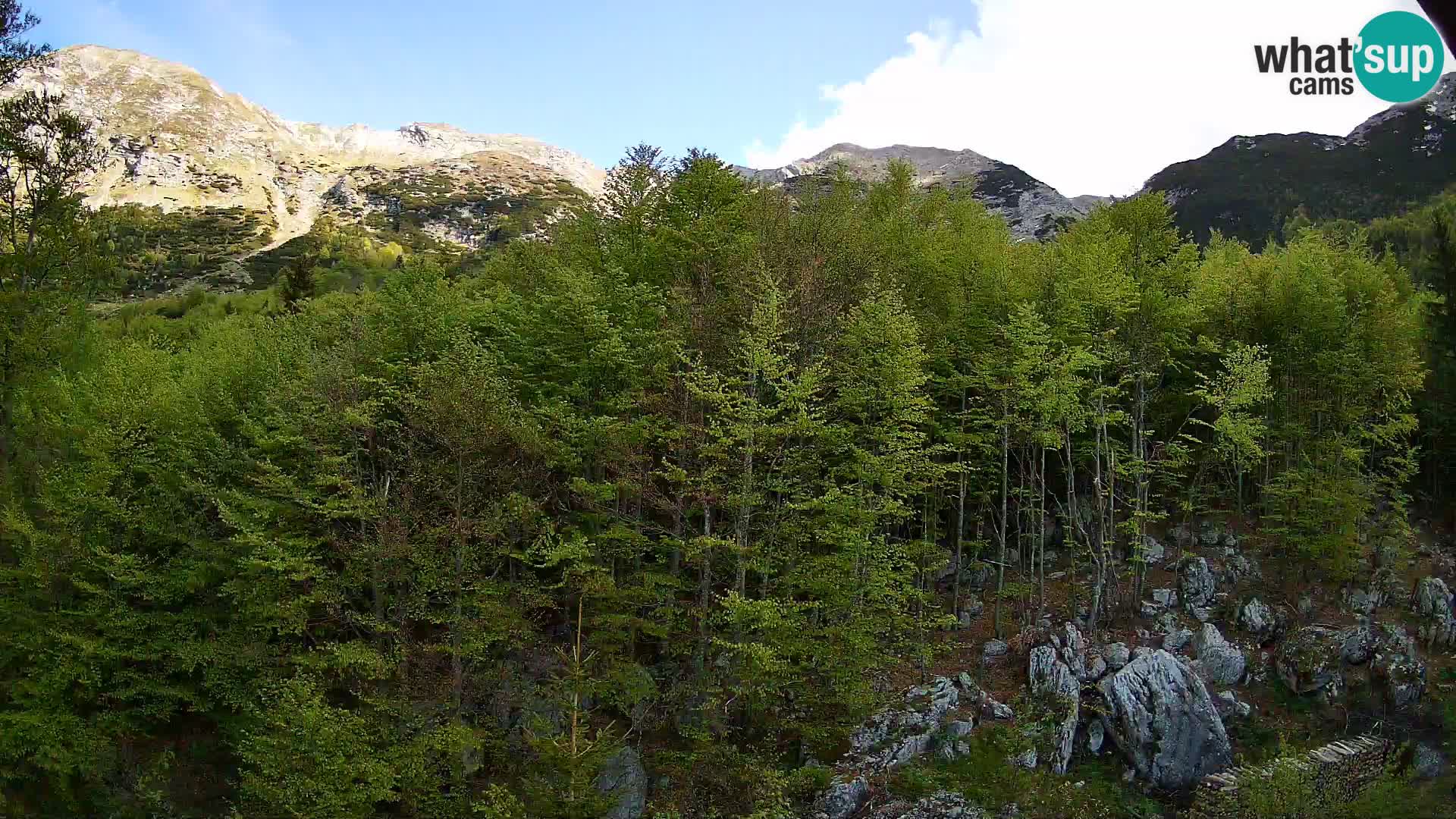 PLANINA RAZOR Live Cam (1315) | vista su Vogel e Globoko