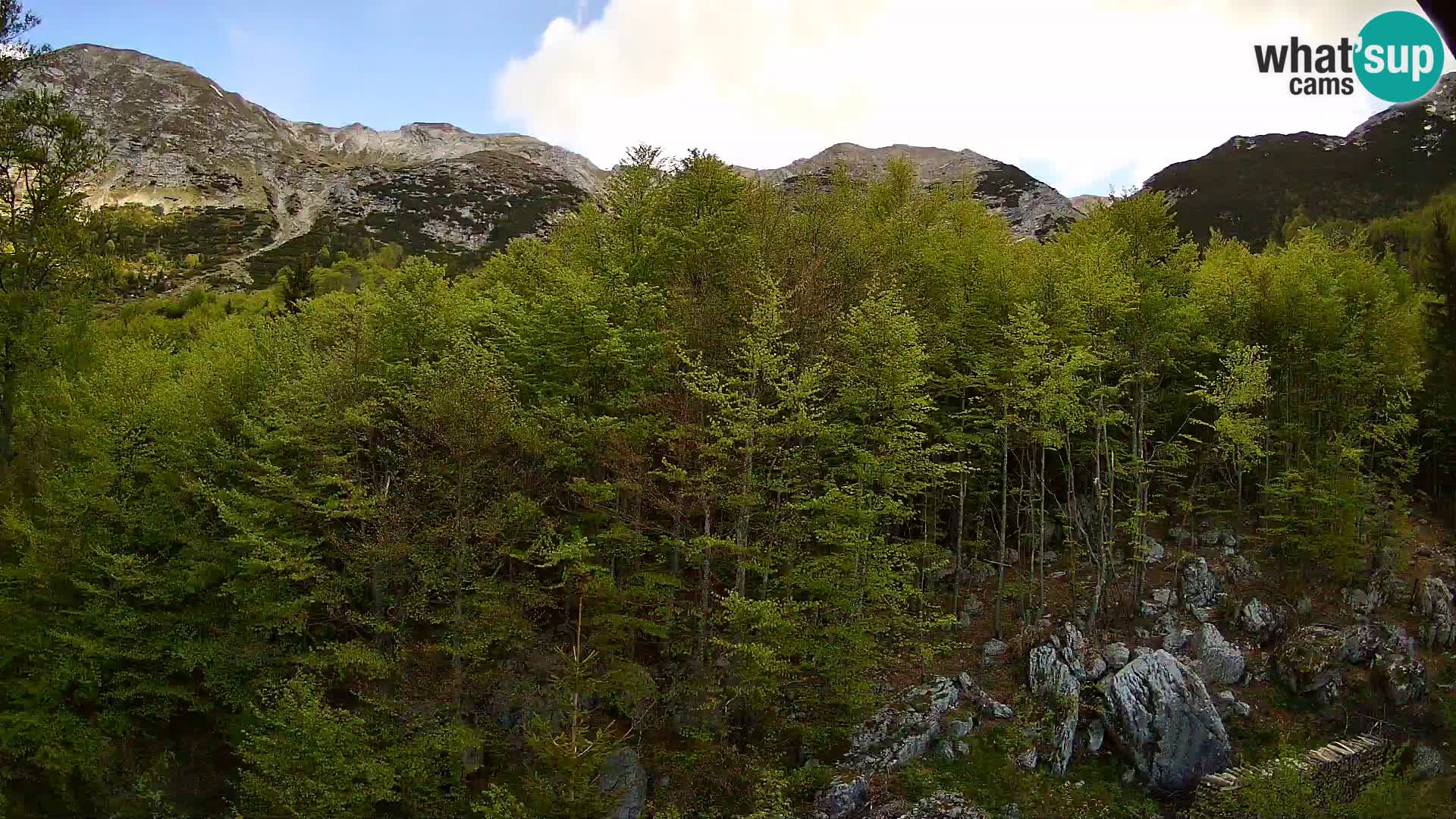 Livecam PLANINA RAZOR (1315) | vue sur Vogel et Globoko