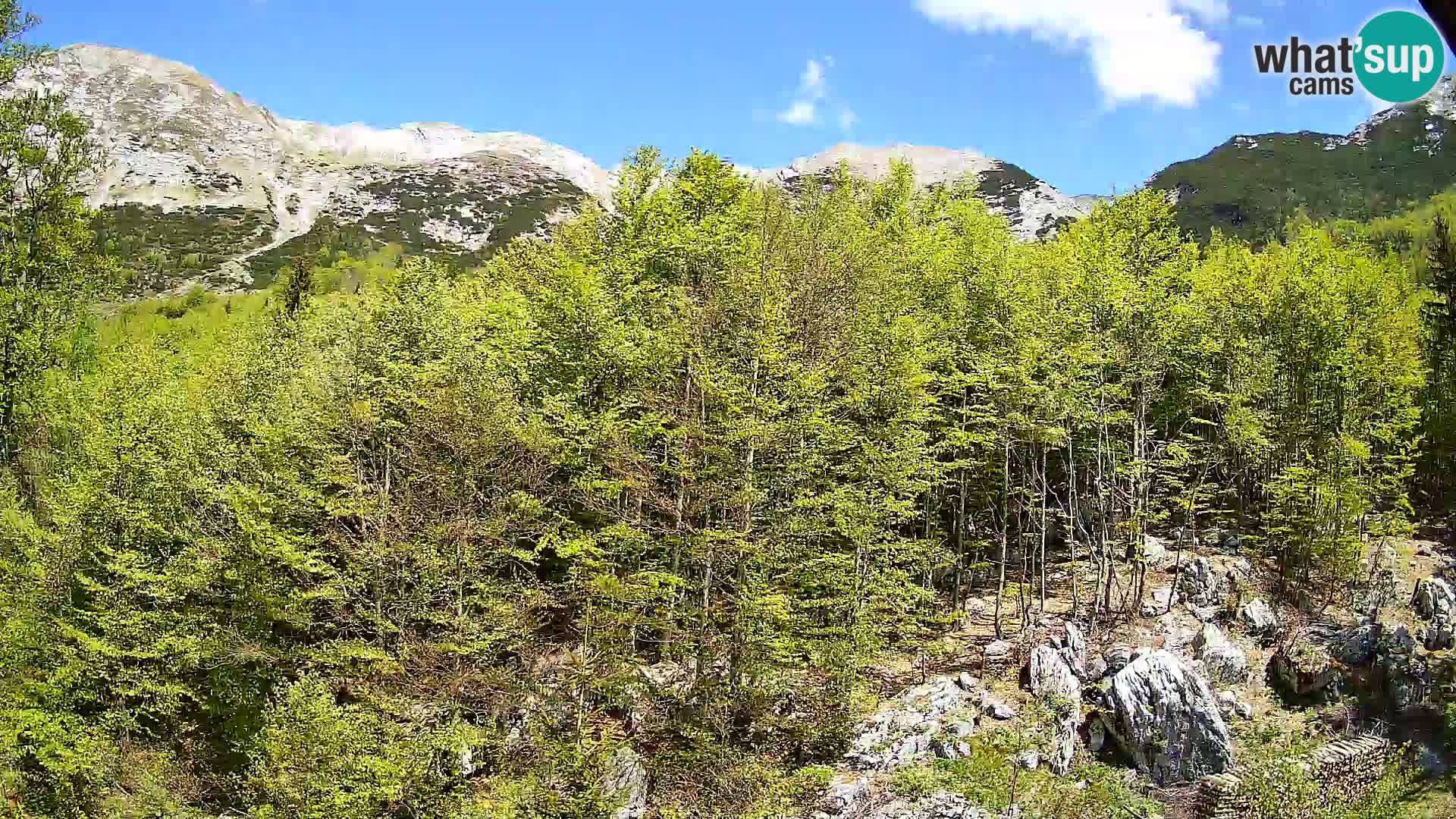 PLANINA RAZOR kamera (1315) | pogled na Vogel in Globoko
