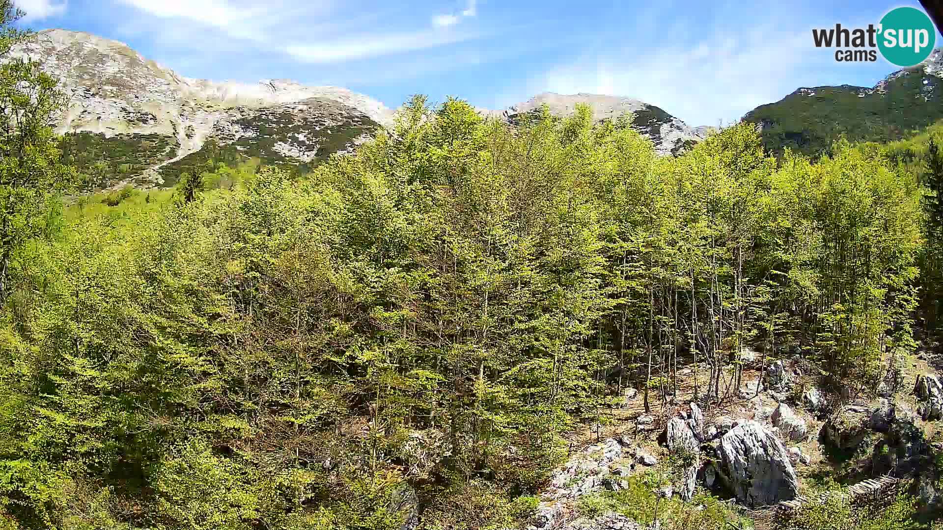 PLANINA RAZOR webcam (1315) | view to Vogel and Globoko