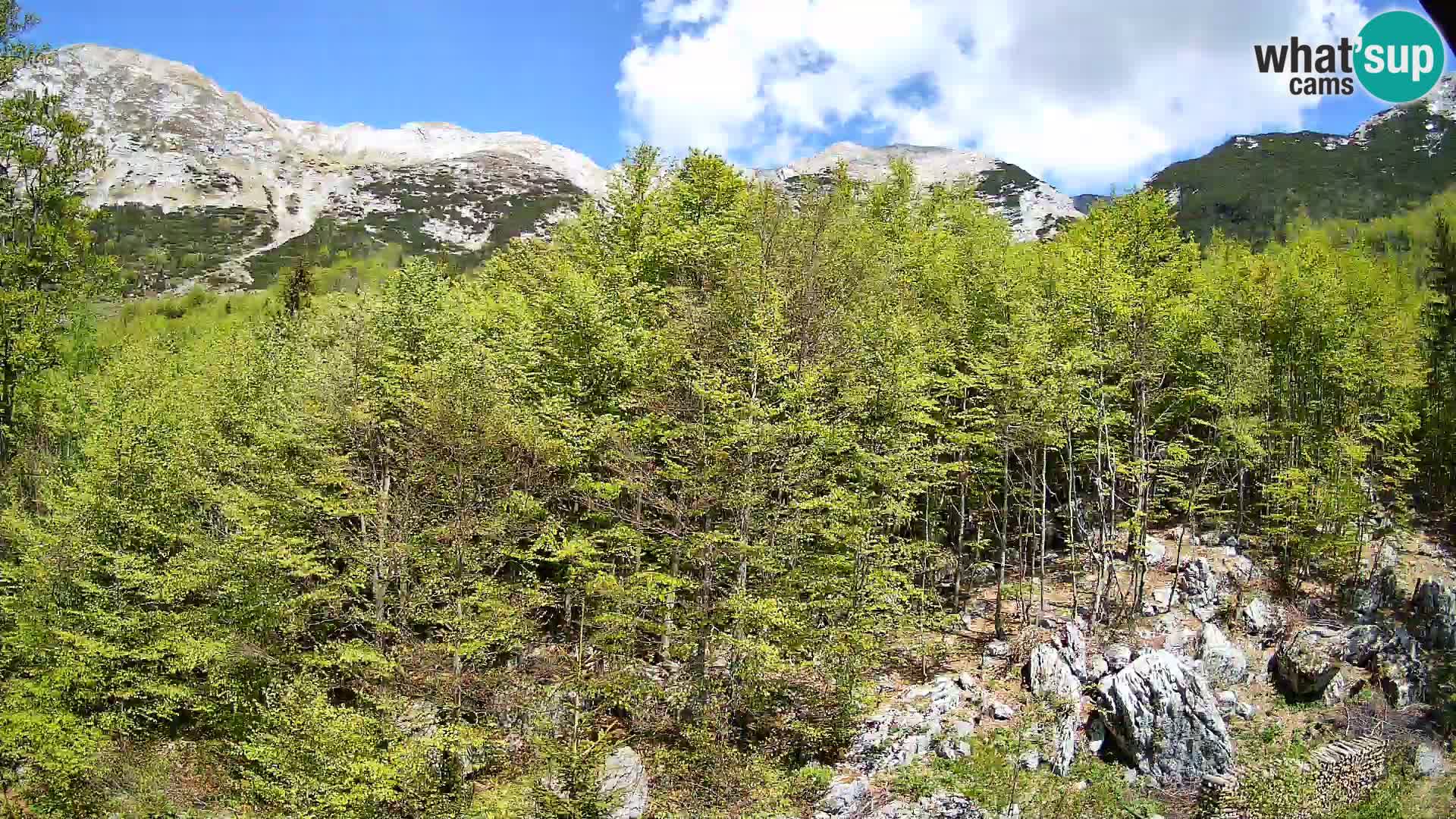 PLANINA RAZOR kamera (1315) | pogled na Vogel in Globoko