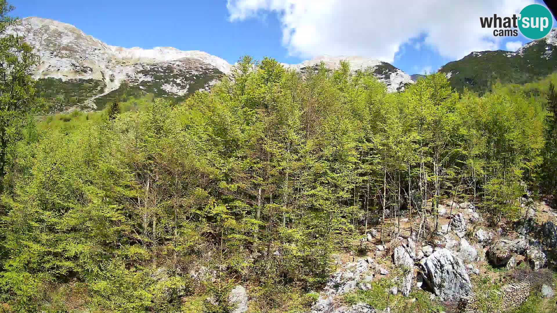 PLANINA RAZOR web kamera (1315) | pogled na Vogel i Globoko