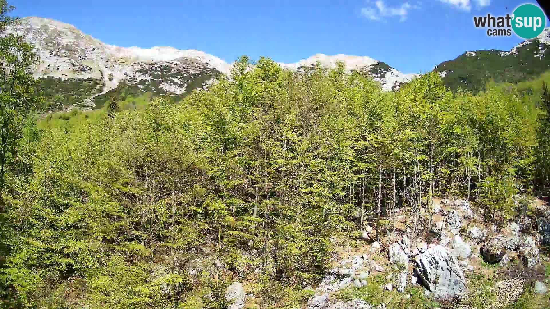 Cámara web PLANINA RAZOR (1315) | vista a Vogel y Globoko