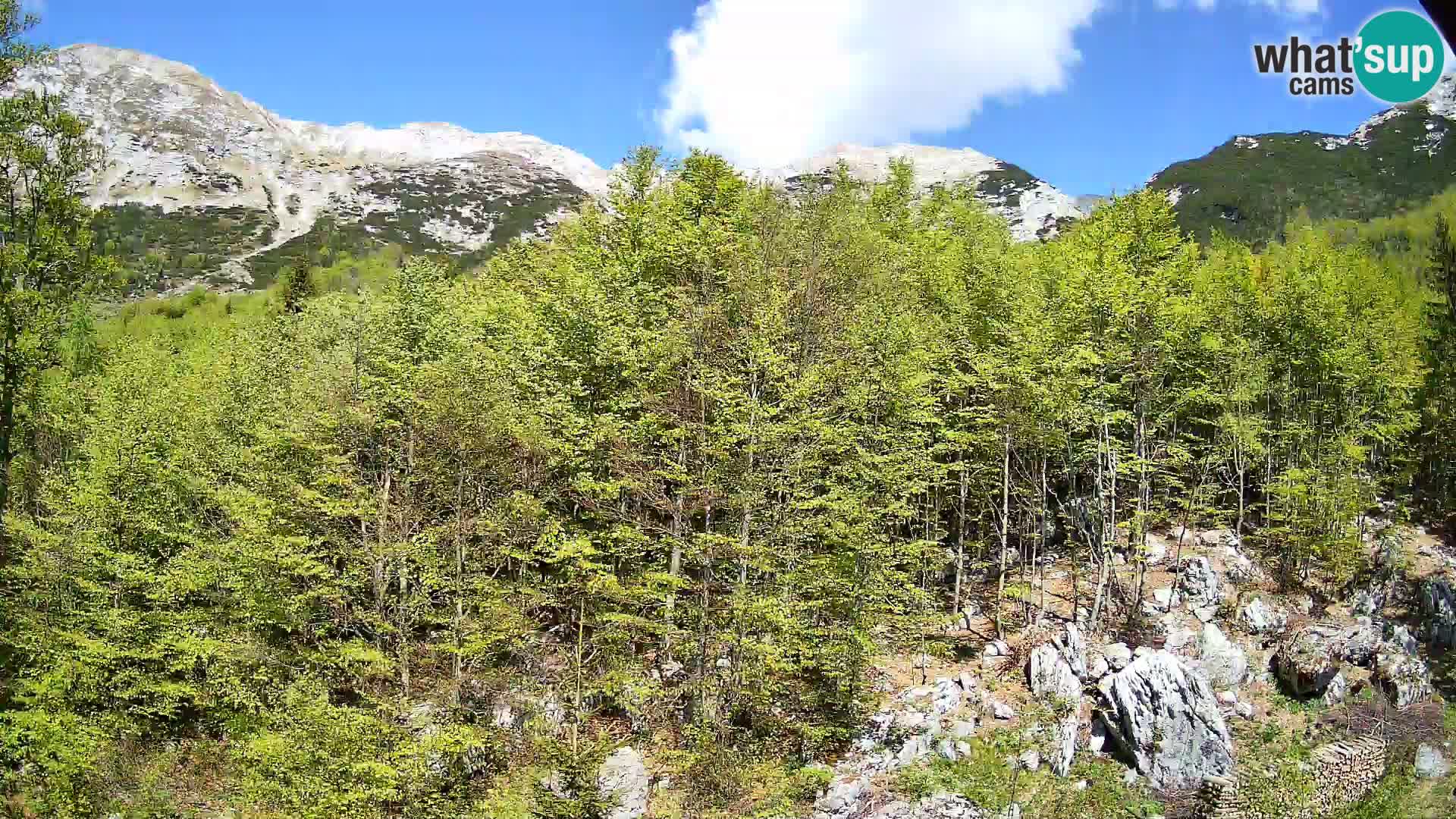 Webcam PLANINA RAZOR (1315) | Blick auf Vogel und Globoko