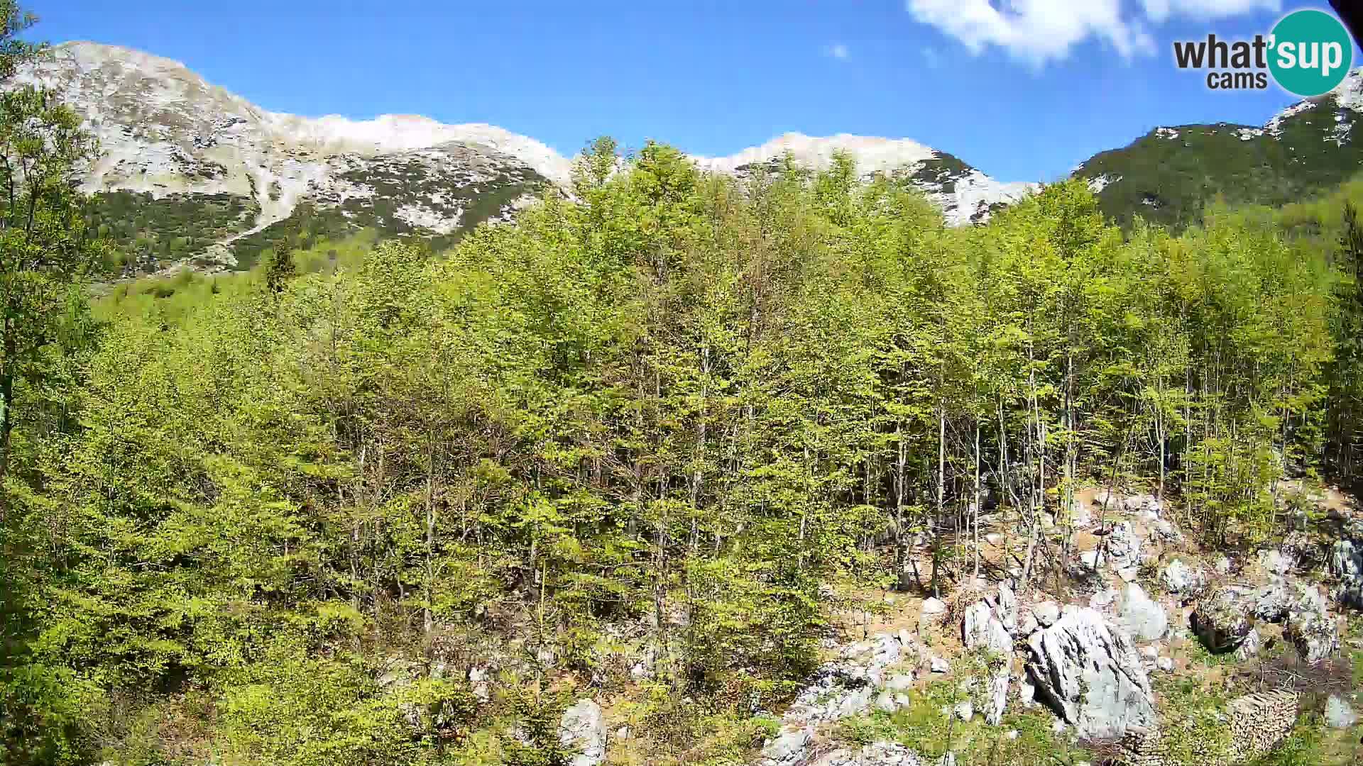 PLANINA RAZOR web kamera (1315) | pogled na Vogel i Globoko