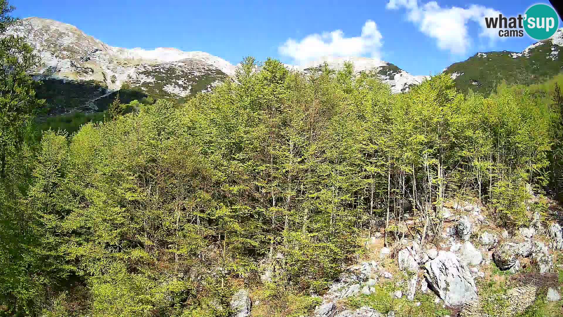 Webcam PLANINA RAZOR (1315) | Blick auf Vogel und Globoko