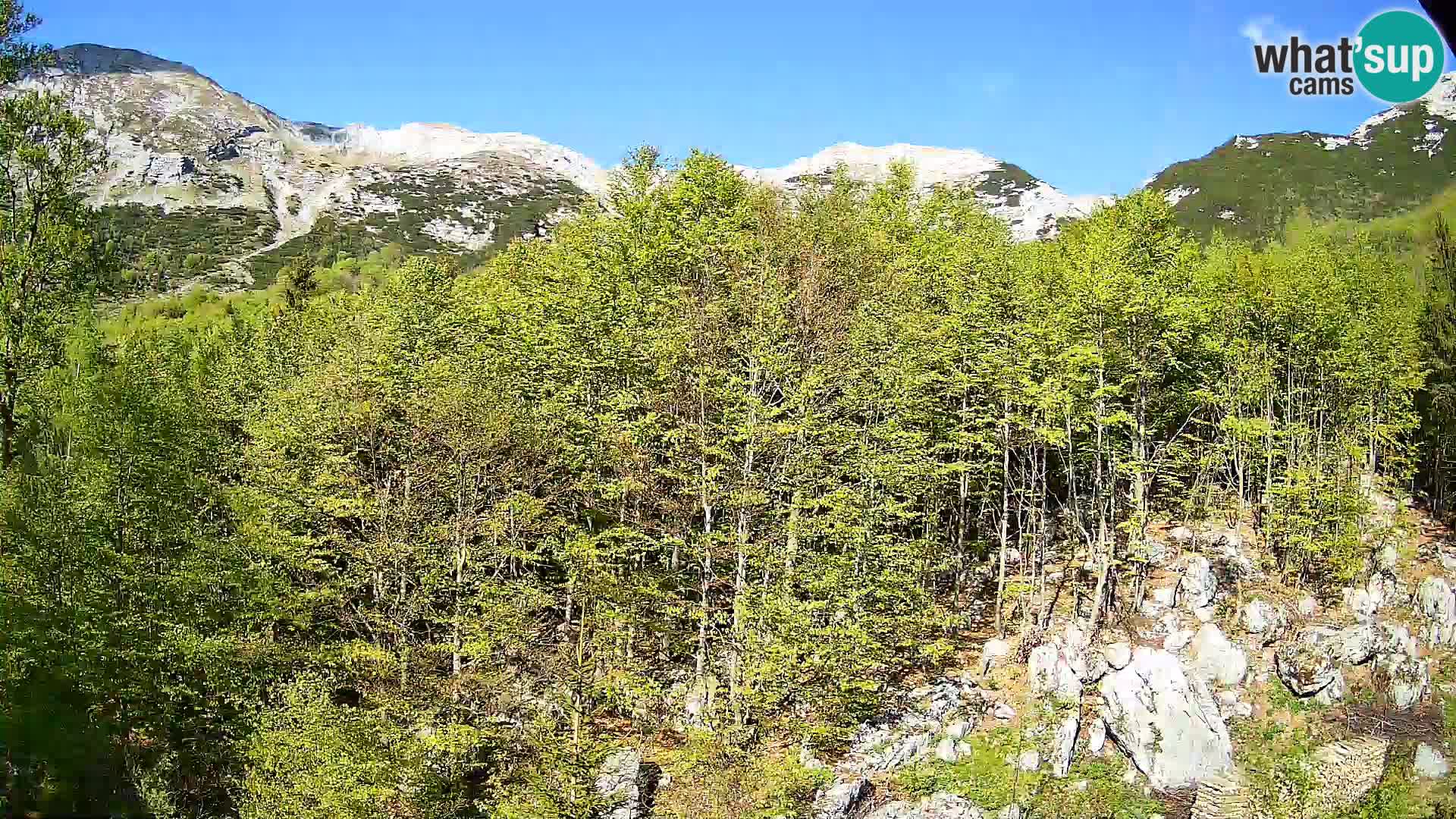 Webcam PLANINA RAZOR (1315) | Blick auf Vogel und Globoko