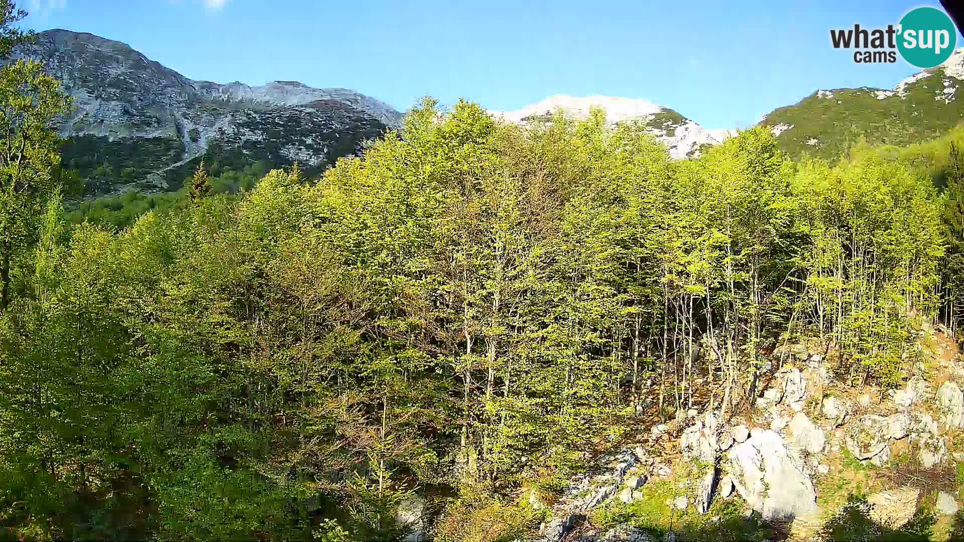Webcam PLANINA RAZOR (1315) | Blick auf Vogel und Globoko