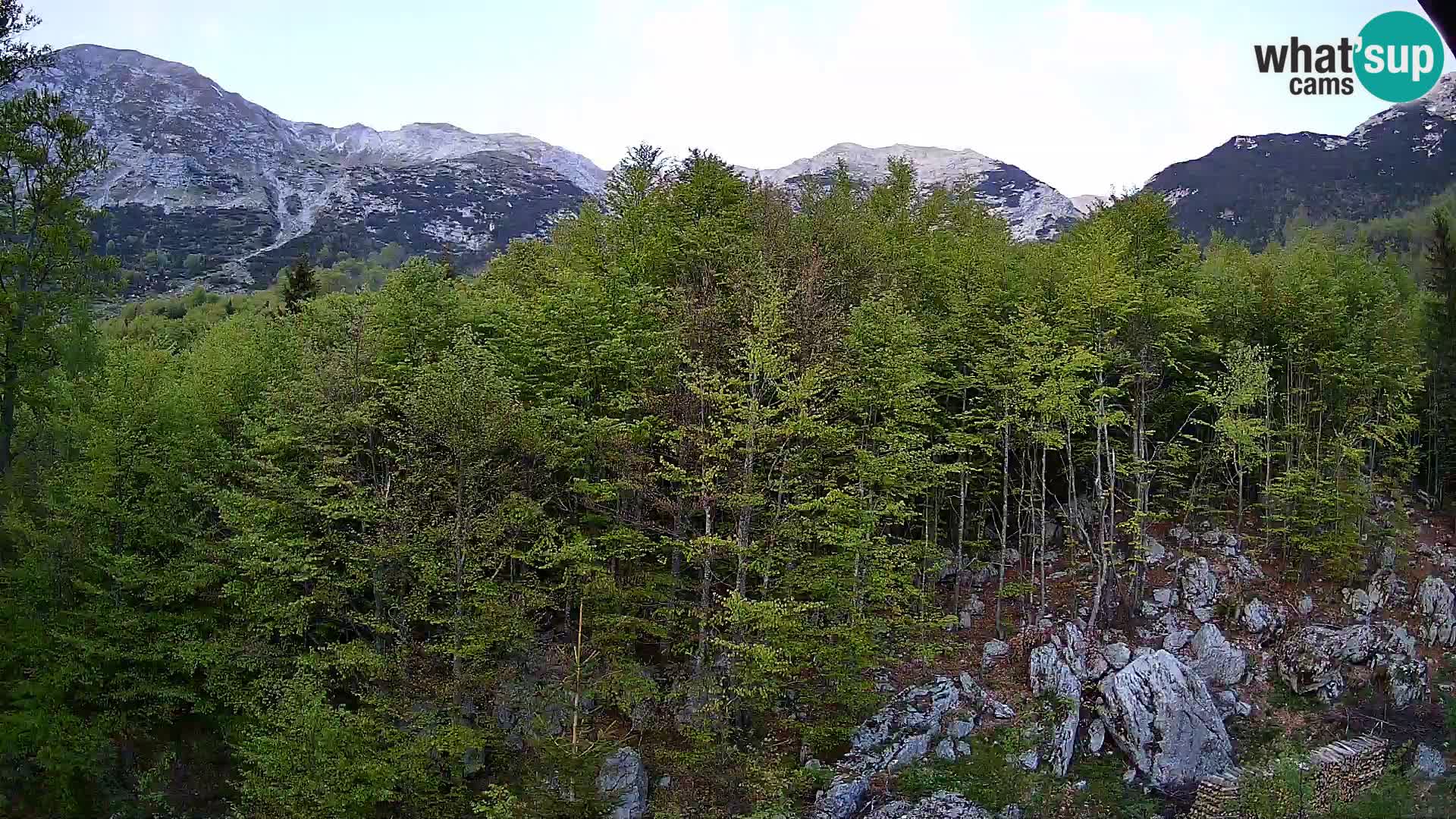 Livecam PLANINA RAZOR (1315) | vue sur Vogel et Globoko