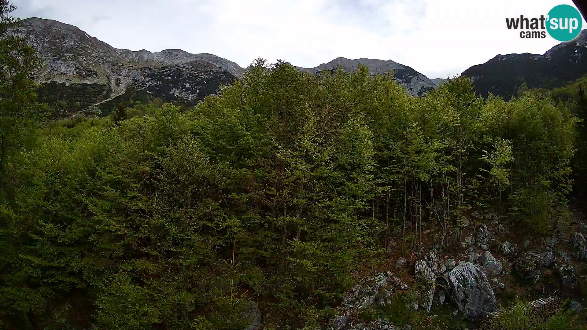 PLANINA RAZOR webcam (1315) | view to Vogel and Globoko