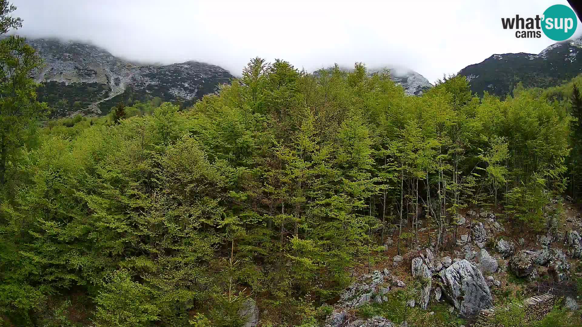 PLANINA RAZOR web kamera (1315) | pogled na Vogel i Globoko