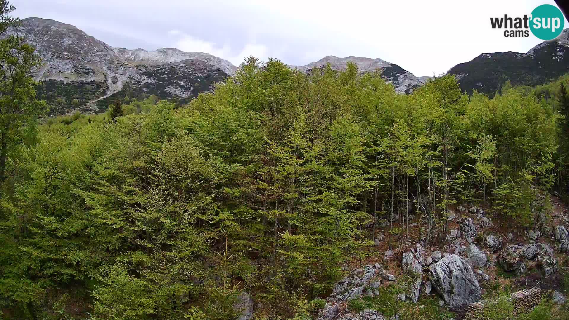 Webcam PLANINA RAZOR (1315) | Blick auf Vogel und Globoko