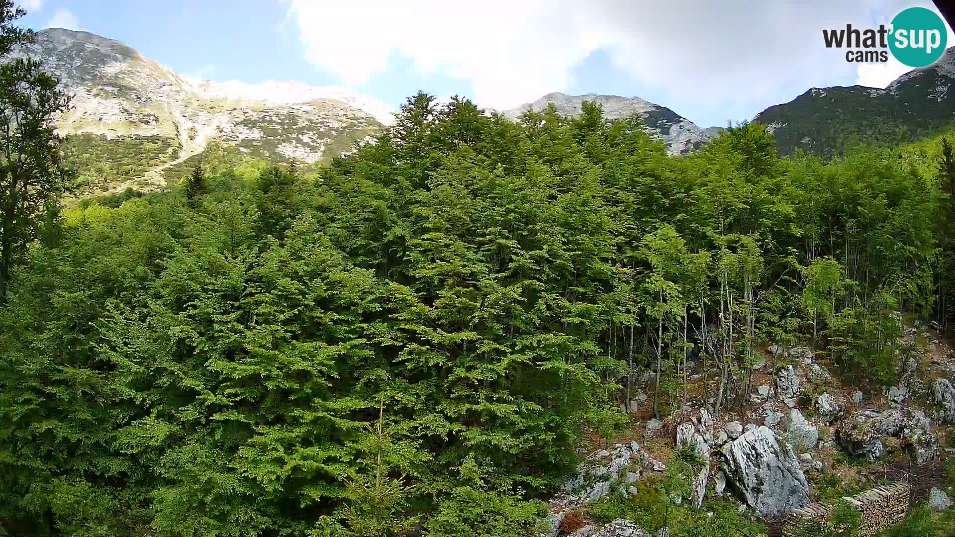 Livecam PLANINA RAZOR (1315) | vue sur Vogel et Globoko