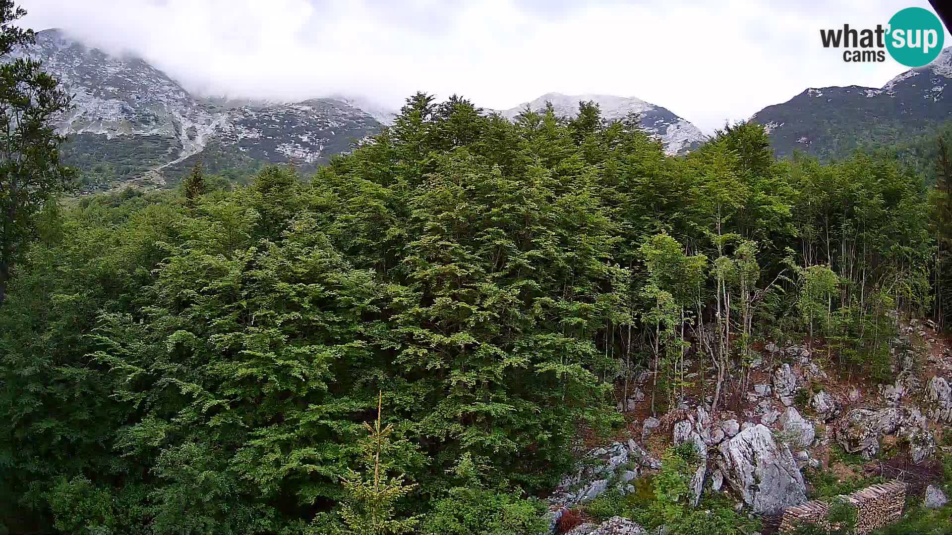 PLANINA RAZOR web kamera (1315) | pogled na Vogel i Globoko