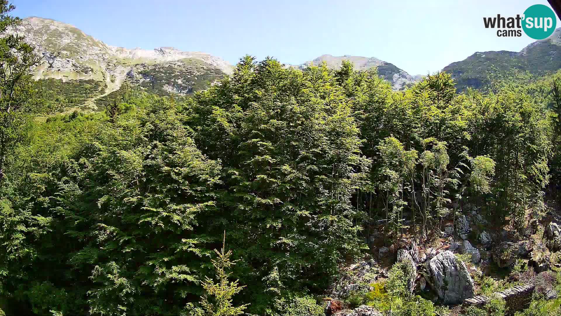 PLANINA RAZOR kamera (1315) | pogled na Vogel in Globoko