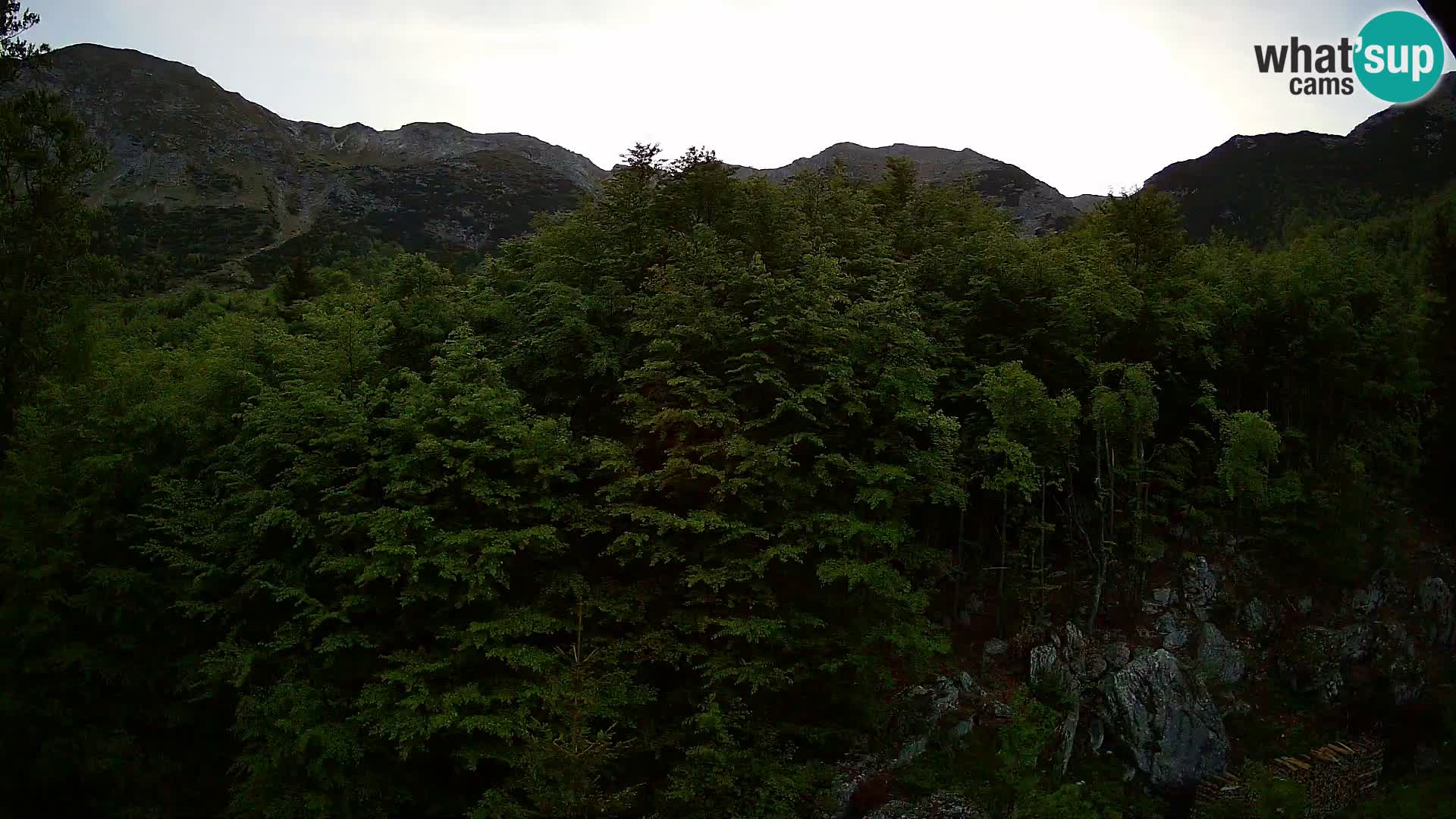 PLANINA RAZOR kamera (1315) | pogled na Vogel in Globoko