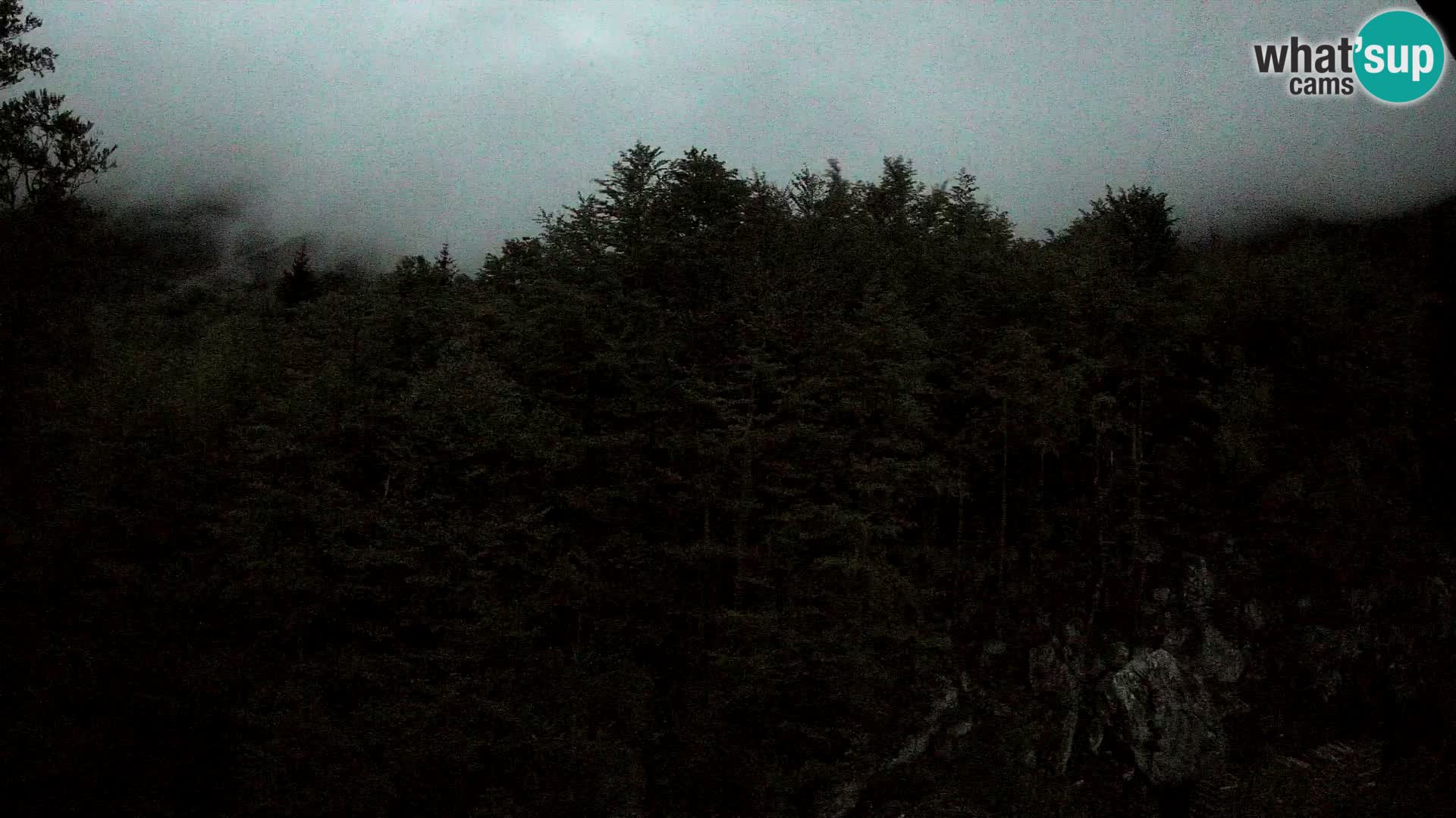 Livecam PLANINA RAZOR (1315) | vue sur Vogel et Globoko