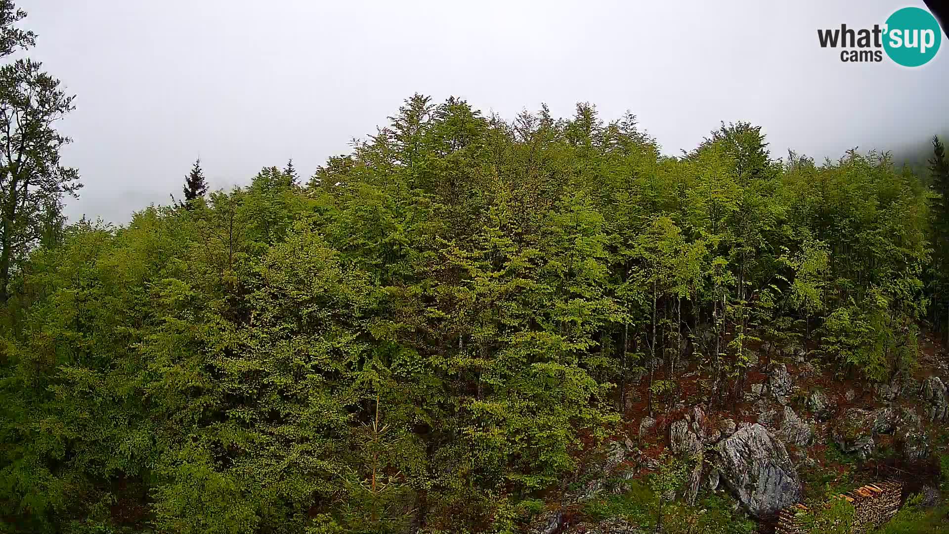 Webcam PLANINA RAZOR (1315) | Blick auf Vogel und Globoko
