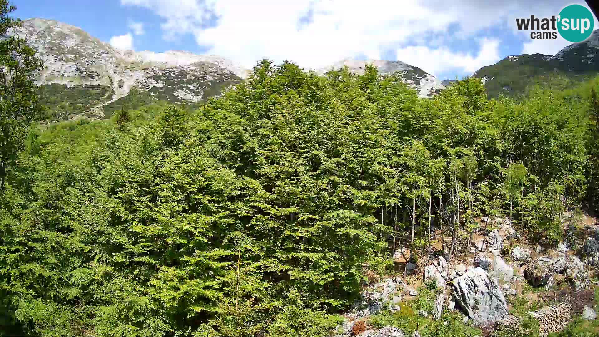 PLANINA RAZOR webcam (1315) | view to Vogel and Globoko
